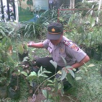 Polresta Bandung Tengah Hijaukan Taman Lalu Lintas